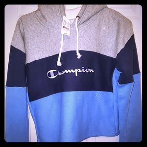 Champion reverse weave crop hoodie